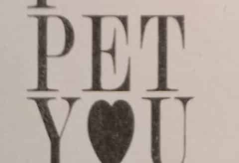 I PET YOU DOG SHOP & SPA