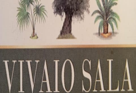 VIVAIO SALA ESOTICO MEDITERRANEO