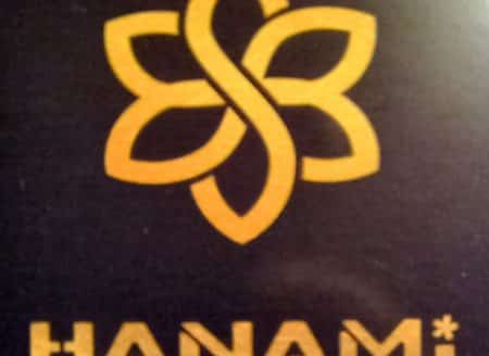 HANAMI  Restaurant Japanese