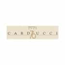 Hotel Carducci 76 Sas