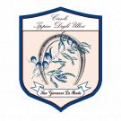 Circolo Ippico Gli Ulivi  equitazione
