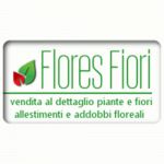 Flores Fiori Piante e Fiori